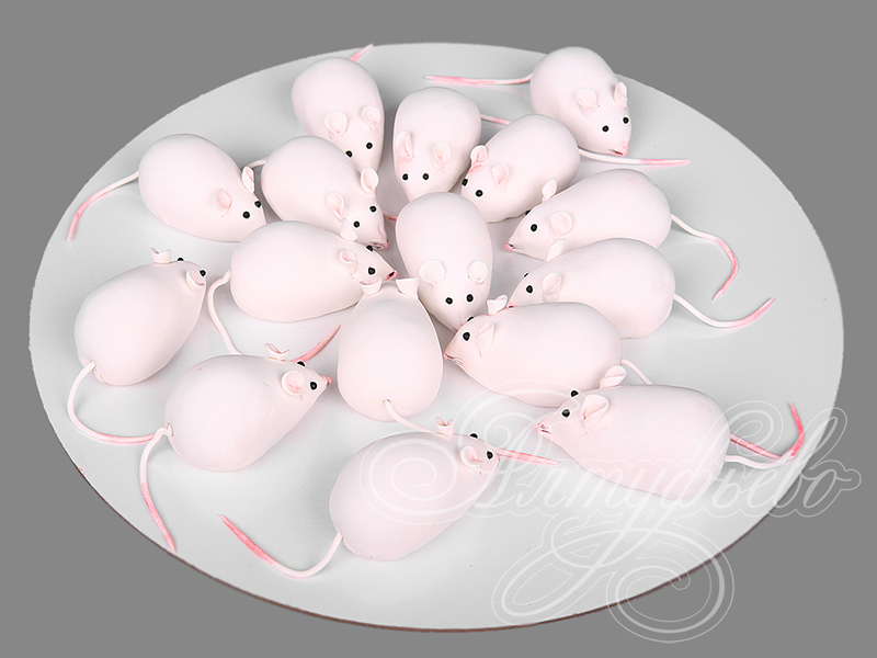 Кейкпопсы "Белые мышки"