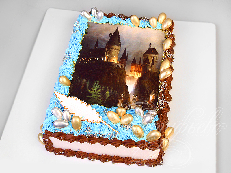 Торт «Волшебный замок» 
