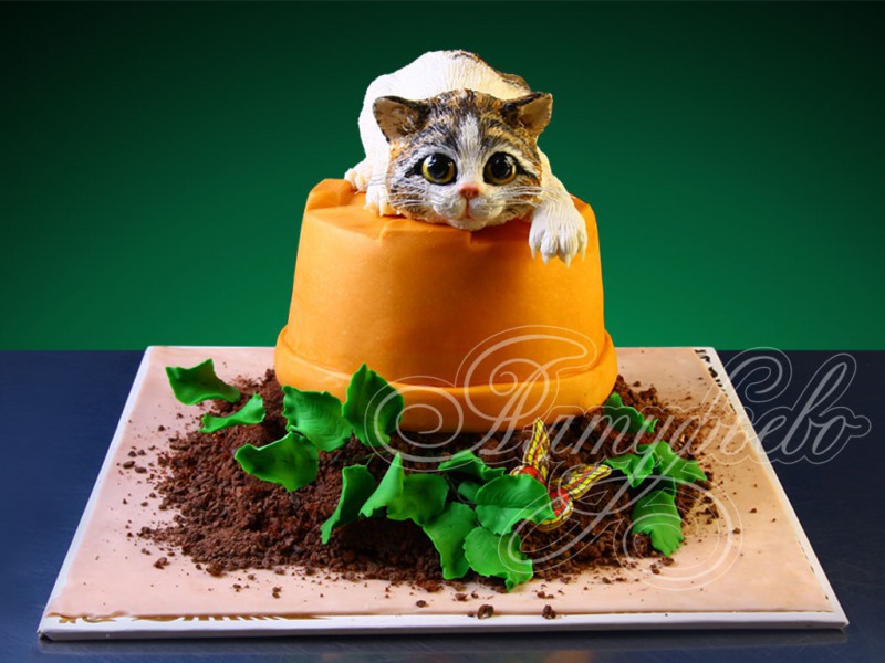 Подарочный торт «Нашкодивший котенок»