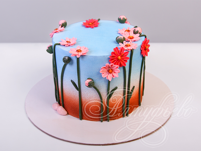 Торт голубого цвета с красным низом и с розовыми Герберами