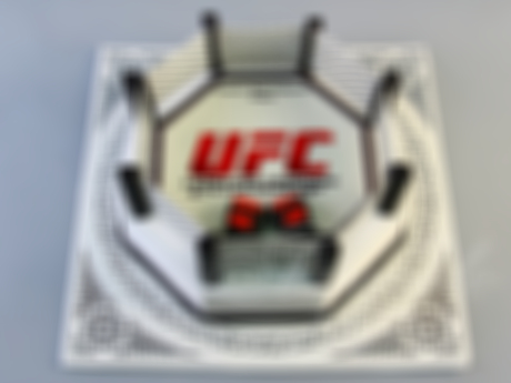 Торт в виде ринга UFC