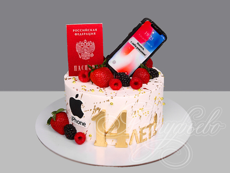 Торт с паспортом и айфоном на 14 лет