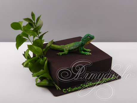 Квадратный торт с зеленой агамой