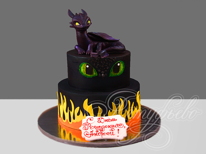 Торт с пламенем и Беззубиком 29051022