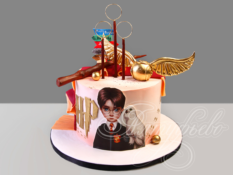 Торт для девочки на день рождения одноярусный в стиле Гарри Поттера