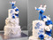 Бело-голубой с инициалами и цветами