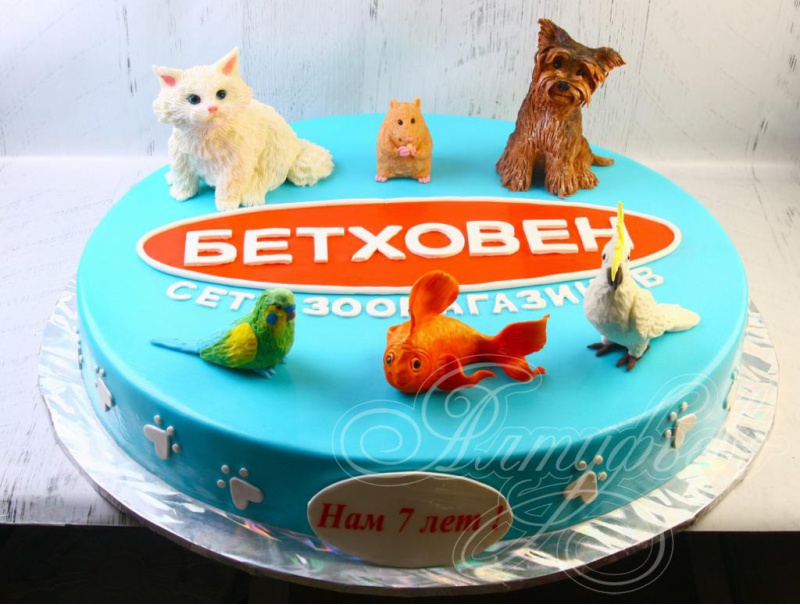 Торт кошка