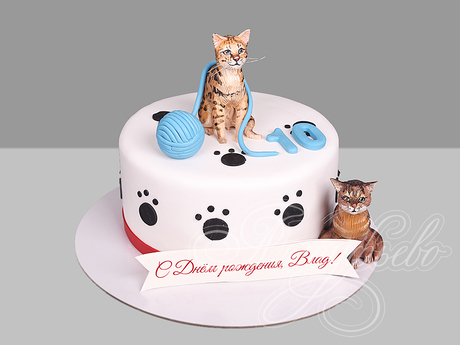 Торт с котами для мальчика
