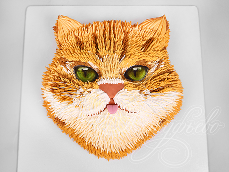 Торт Рыжий котик