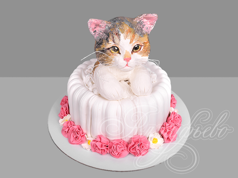 Торт с котиком