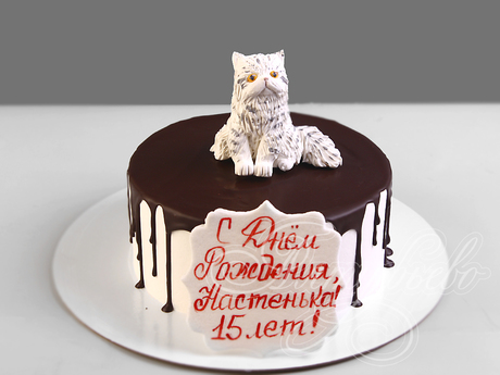 Торт с кошкой на 15 лет