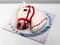3D торт в виде головы Лошади