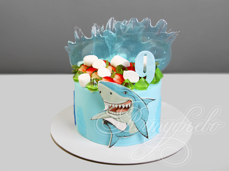 Торт карамельной волной и акулой 060311620