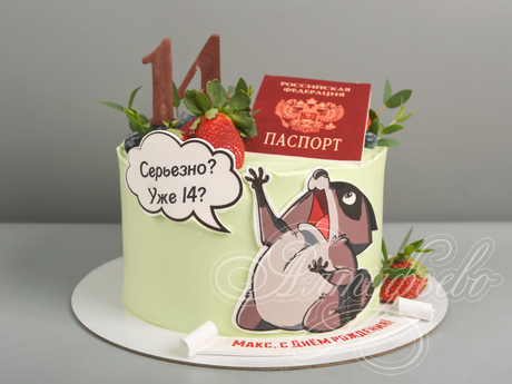 Торт с паспортом и енотиком на 14 лет