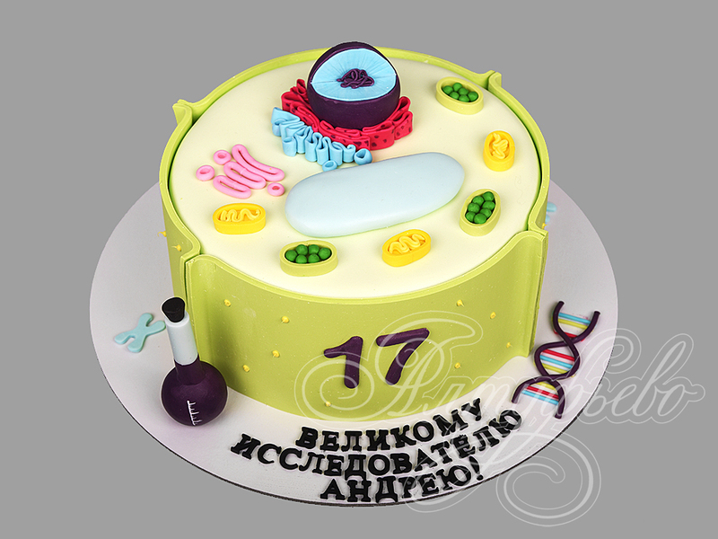 Торт для исследователя на 17 лет стоимостью 8 470 рублей в категории на 17 лет - торты на заказ ПРЕМИУМ-класса. Цена: 2 760 руб/кг. Торт для исследователя на 17 лет