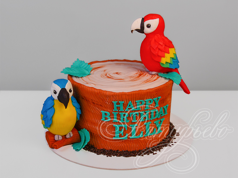 Детский торт в день рождения на 12 лет для девочек «с Попугаями» в день рождения одноярусный