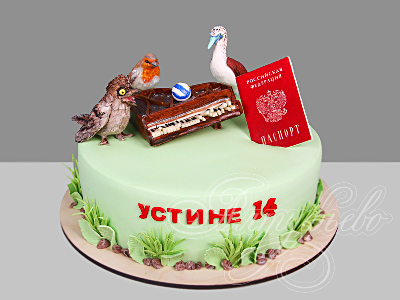 Торт с птицами и паспортом на 14 лет