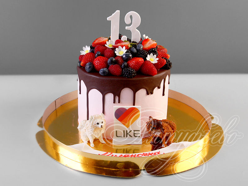 Торт с ягодами и собачками на 13 лет