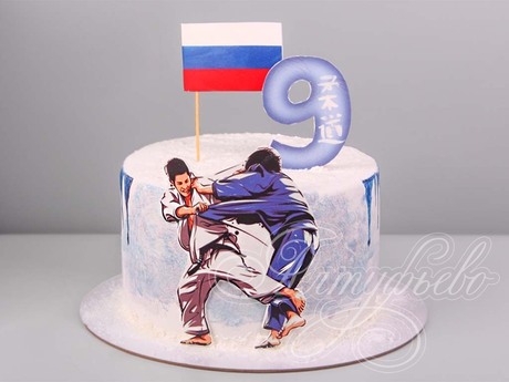 Торт Дзюдоисту на 9 лет