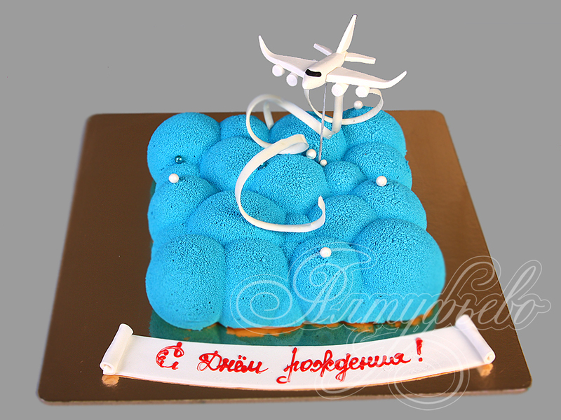 Торт Самолет над облаками для мужа на день рождения одноярусный велюровый без мастики