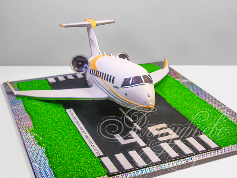 Торт в виде Самолета на день рождения мужчины в 45 лет