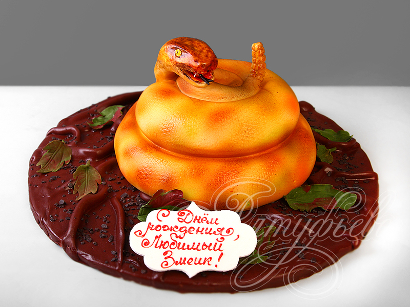 Торт для мужчины на день рождения одноярусный в виде оранжевой змеи