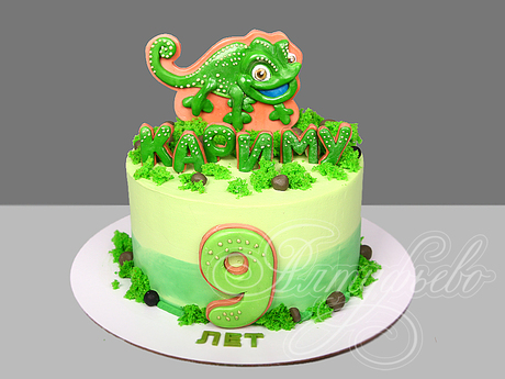 Торт с Хамелеоном на 9 лет