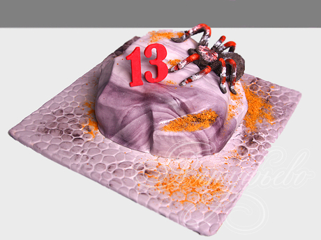Торт с пауком на 13 лет
