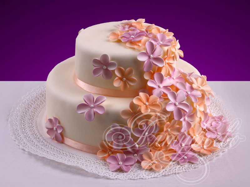 Торт«Дорогаизцветовксчастью»