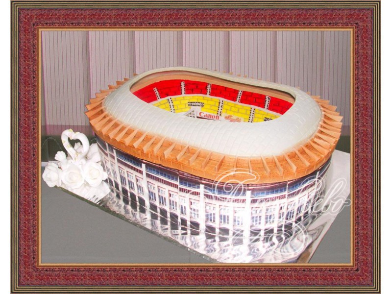 Торт«Стадион»